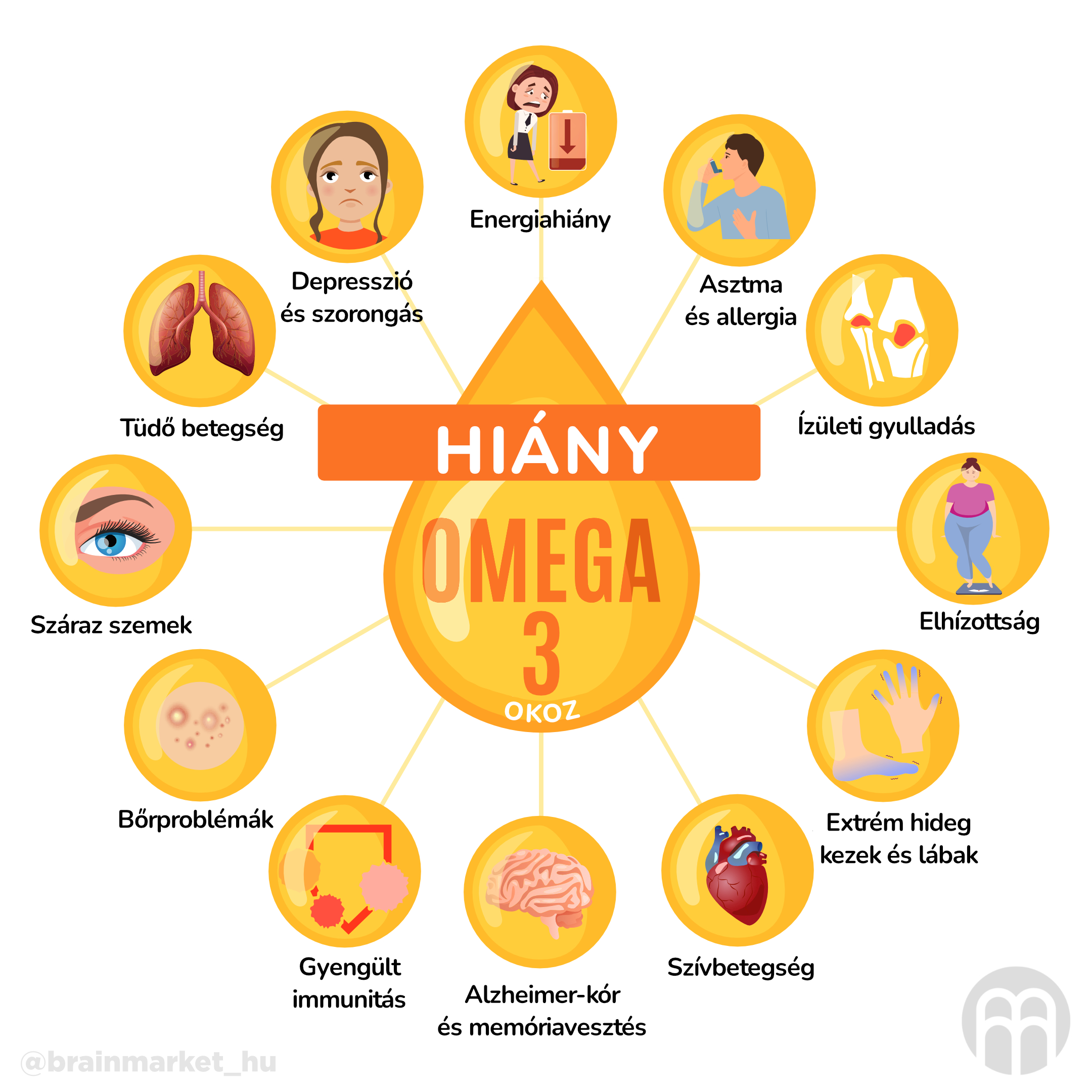 nedostatek omega3 zpusobuje_infografika_hu